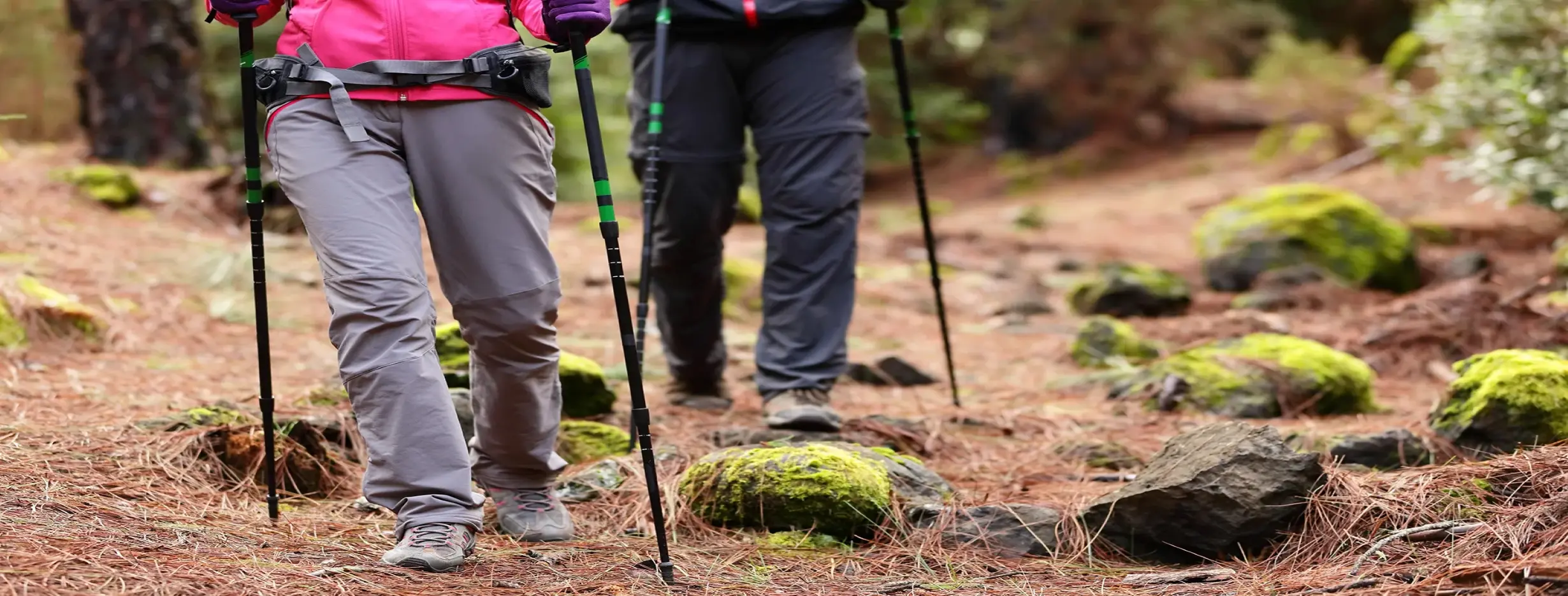 Image for Hiking Escapade